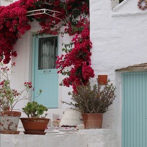 Meet your Posher, Holly